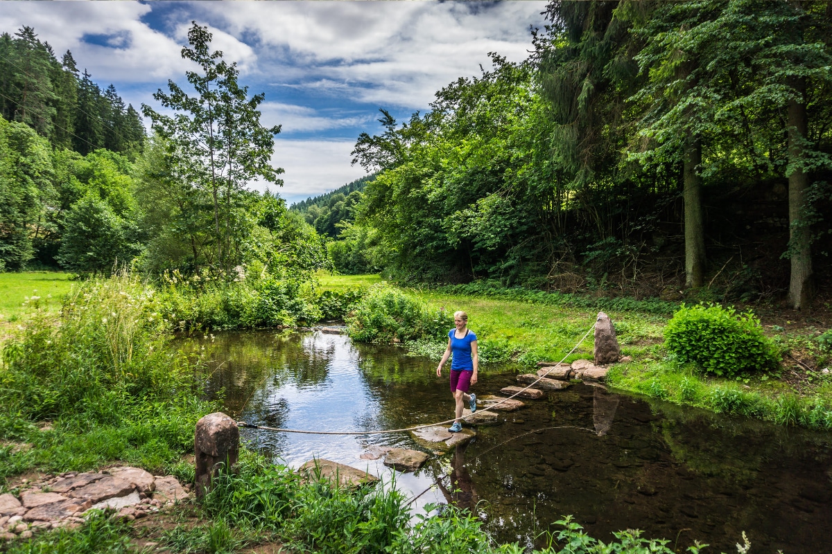 Denkmal Hermann Hesse in Calw